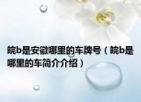 皖b是安徽哪里的車牌號（皖b是哪里的車簡介介紹）