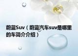 蔚藍Suv（蔚藍汽車suv是哪里的車簡介介紹）