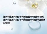 康百萬(wàn)和沈萬(wàn)三阮子蘭的家族歷史有哪些介紹(康百萬(wàn)和沈萬(wàn)三阮子蘭的家族歷史有哪些詳細(xì)情況如何)