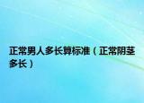 正常男人多長算標準（正常陰莖多長）