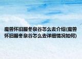 魔獸懷舊服冬泉谷怎么去介紹(魔獸懷舊服冬泉谷怎么去詳細情況如何)