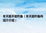 冬天能不能釣魚(yú)（冬天能釣魚(yú)嗎簡(jiǎn)介介紹）