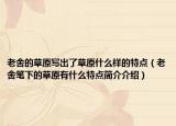 老舍的草原寫(xiě)出了草原什么樣的特點(diǎn)（老舍筆下的草原有什么特點(diǎn)簡(jiǎn)介介紹）