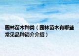 園林苗木種類（園林苗木有哪些常見品種簡(jiǎn)介介紹）