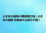 小丈夫大結(jié)局43集劇情介紹（小丈夫大結(jié)局 究竟是什么簡(jiǎn)介介紹）