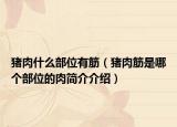 豬肉什么部位有筋（豬肉筋是哪個(gè)部位的肉簡(jiǎn)介介紹）