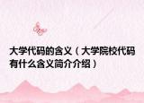 大學代碼的含義（大學院校代碼有什么含義簡介介紹）