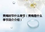 黃梅時(shí)節(jié)什么季節(jié)（黃梅是什么季節(jié)簡(jiǎn)介介紹）