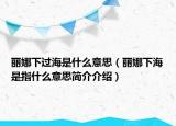 麗娜下過海是什么意思（麗娜下海是指什么意思簡介介紹）