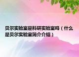 貝爾實(shí)驗(yàn)室是科研實(shí)驗(yàn)室嗎（什么是貝爾實(shí)驗(yàn)室簡(jiǎn)介介紹）