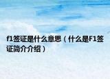 f1簽證是什么意思（什么是F1簽證簡介介紹）