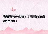 狗和貓與什么有關(guān)（貓猴的特點簡介介紹）