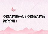 空調(diào)幾匹是什么（空調(diào)有幾匹的簡(jiǎn)介介紹）