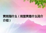 黃斑指什么（斑蝥黃是什么簡(jiǎn)介介紹）
