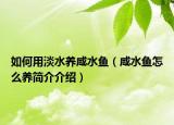 如何用淡水養(yǎng)咸水魚（咸水魚怎么養(yǎng)簡介介紹）