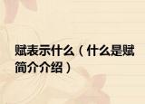 賦表示什么（什么是賦簡(jiǎn)介介紹）
