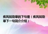 疾風(fēng)知?jiǎng)挪莸南戮涫牵诧L(fēng)知?jiǎng)挪菹乱痪浜?jiǎn)介介紹）
