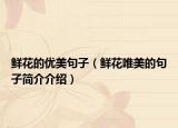 鮮花的優(yōu)美句子（鮮花唯美的句子簡(jiǎn)介介紹）