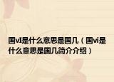 國(guó)vI是什么意思是國(guó)幾（國(guó)vi是什么意思是國(guó)幾簡(jiǎn)介介紹）