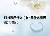 FSH表示什么（fsh是什么意思簡(jiǎn)介介紹）