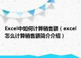 Excel中如何計(jì)算銷售額（excel怎么計(jì)算銷售額簡介介紹）