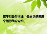 屬于能量型指標(biāo)（量能指標(biāo)是哪個指標(biāo)簡介介紹）