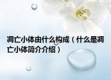 凋亡小體由什么構成（什么是凋亡小體簡介介紹）