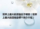 世界上最大的濕地位于哪里（世界上最大的濕地是哪個(gè)簡介介紹）