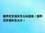 指甲月牙消失怎么補(bǔ)回來（指甲月牙消失怎么辦）