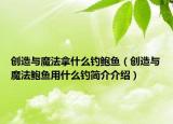 創(chuàng)造與魔法拿什么釣鮑魚（創(chuàng)造與魔法鮑魚用什么釣簡介介紹）
