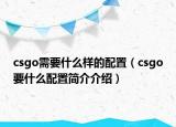 csgo需要什么樣的配置（csgo要什么配置簡介介紹）