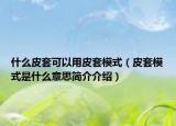 什么皮套可以用皮套模式（皮套模式是什么意思簡(jiǎn)介介紹）