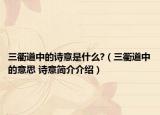 三衢道中的詩(shī)意是什么?（三衢道中的意思 詩(shī)意簡(jiǎn)介介紹）