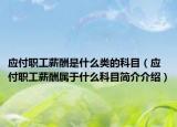 應付職工薪酬是什么類的科目（應付職工薪酬屬于什么科目簡介介紹）