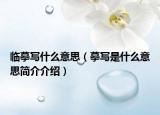 臨摹寫(xiě)什么意思（摹寫(xiě)是什么意思簡(jiǎn)介介紹）