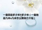 一畝田是多少米X多少米（一畝地是幾米x幾米怎么算簡(jiǎn)介介紹）