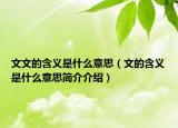 文文的含義是什么意思（文的含義是什么意思簡(jiǎn)介介紹）