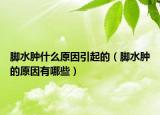 腳水腫什么原因引起的（腳水腫的原因有哪些）