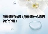 狼桃是好的嗎（狼桃是什么意思簡(jiǎn)介介紹）