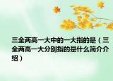 三全兩高一大中的一大指的是（三全兩高一大分別指的是什么簡(jiǎn)介介紹）