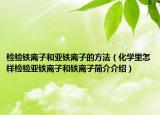 檢驗(yàn)鐵離子和亞鐵離子的方法（化學(xué)里怎樣檢驗(yàn)亞鐵離子和鐵離子簡(jiǎn)介介紹）