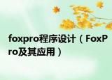 foxpro程序設(shè)計(jì)（FoxPro及其應(yīng)用）