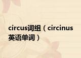 circus詞組（circinus 英語單詞）
