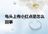 龜頭上有小紅點(diǎn)是怎么回事
