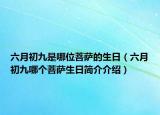 六月初九是哪位菩薩的生日（六月初九哪個(gè)菩薩生日簡(jiǎn)介介紹）