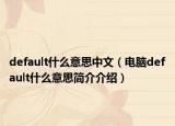 default什么意思中文（電腦default什么意思簡介介紹）