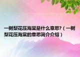 一樹梨花壓海棠是什么意思?（一樹梨花壓海棠的意思簡介介紹）