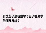 什么笛子最容易學(xué)（笛子容易學(xué)嗎簡(jiǎn)介介紹）
