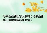 馬來西亞新山華人多嗎（馬來西亞新山消費高嗎簡介介紹）