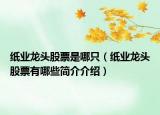 紙業(yè)龍頭股票是哪只（紙業(yè)龍頭股票有哪些簡(jiǎn)介介紹）